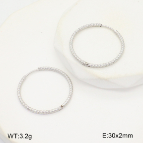 2E2006546ablb-253  Stainless Steel Earrings