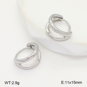2E2006549bbml-253  Stainless Steel Earrings