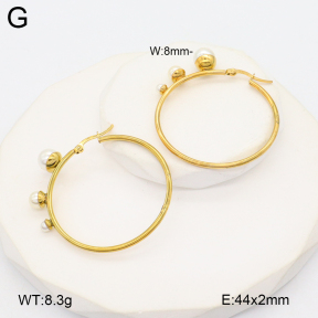 2E3003876vbnb-212  Stainless Steel Earrings