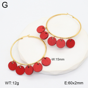 2E3003877vbnb-212  Stainless Steel Earrings