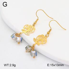 2E4004785vbmb-212  Stainless Steel Earrings