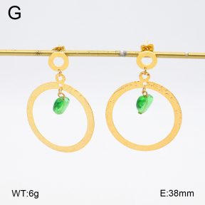 2E4004786ablb-212  Stainless Steel Earrings