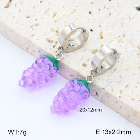 2E4004787baka-212  Stainless Steel Earrings