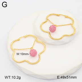 2E4004789baka-212  Stainless Steel Earrings