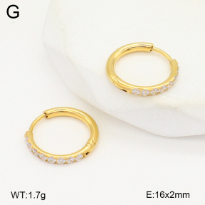 2E4004790bhia-253  Stainless Steel Earrings