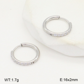 2E4004791vhha-253  Stainless Steel Earrings