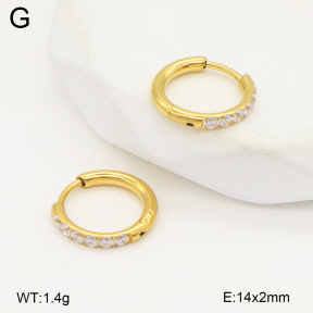 2E4004792vhha-253  Stainless Steel Earrings