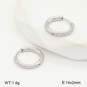 2E4004793bhva-253  Stainless Steel Earrings