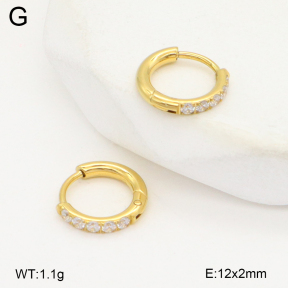 2E4004794bhva-253  Stainless Steel Earrings