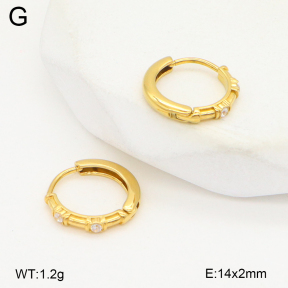 2E4004796abol-253  Stainless Steel Earrings