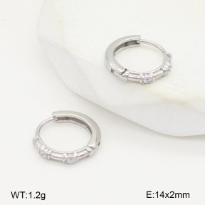 2E4004797vbnl-253  Stainless Steel Earrings