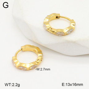 2E4004798bhia-253  Stainless Steel Earrings