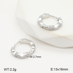 2E4004799vhha-253  Stainless Steel Earrings