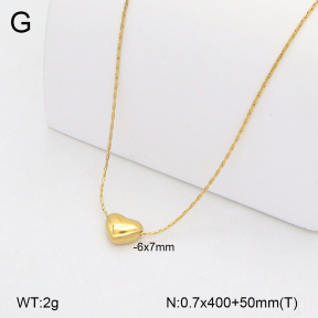 2N2007508aakl-749  Stainless Steel Necklace