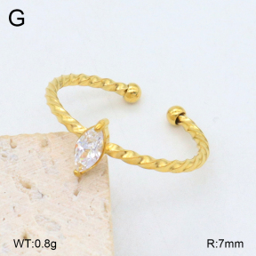 2R4001839aakl-749  Stainless Steel Bangle