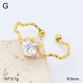 2R4001843aakl-749  Stainless Steel Bangle