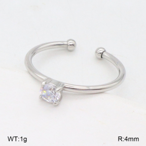2R4001846baka-749  Stainless Steel Bangle