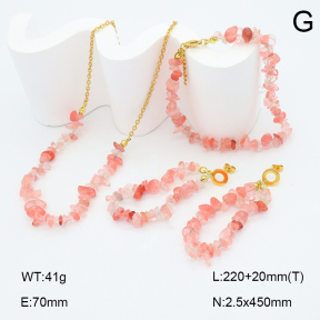 2S0012669vhnv-212  Stainless Steel Set