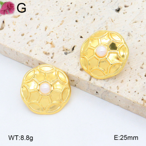 F2E301033vbmb-K11  Fashion Earrings