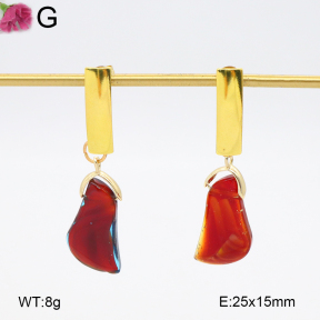 F2E402178bbov-K11  Fashion Earrings