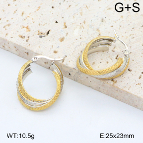 2E2006550vbll-434  Stainless Steel Earrings