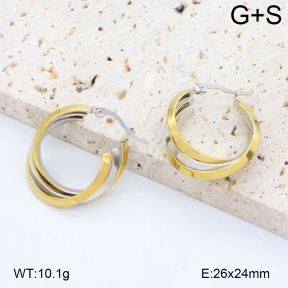 2E2006551vbll-434  Stainless Steel Earrings