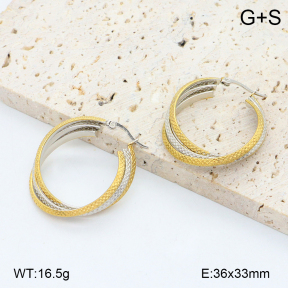 2E2006552vbll-434  Stainless Steel Earrings