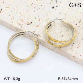 2E2006553vbll-434  Stainless Steel Earrings