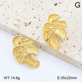 2E2006554vbmb-434  Stainless Steel Earrings