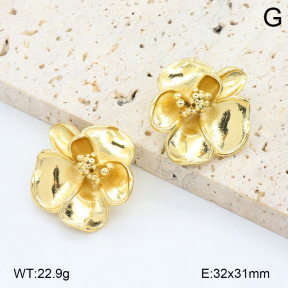 2E2006556vbmb-434  Stainless Steel Earrings