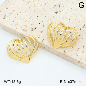 2E2006557vbll-434  Stainless Steel Earrings