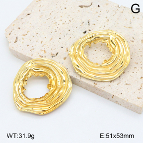 2E2006558ablb-434  Stainless Steel Earrings