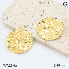 2E2006559ablb-434  Stainless Steel Earrings