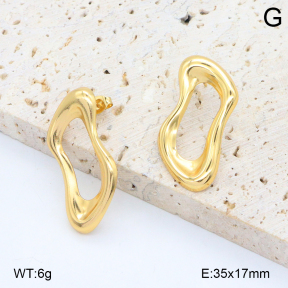 2E2006560baka-434  Stainless Steel Earrings