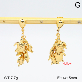 2E2006562vbll-434  Stainless Steel Earrings