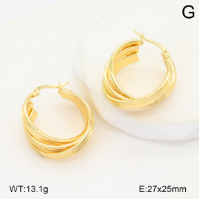 2E2006563aakl-434  Stainless Steel Earrings