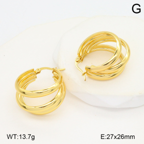 2E2006564aakl-434  Stainless Steel Earrings