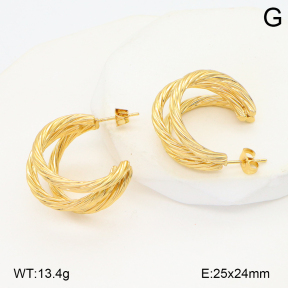 2E2006566aakl-434  Stainless Steel Earrings