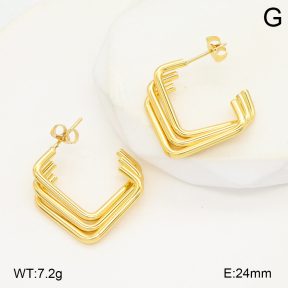 2E2006569aakl-434  Stainless Steel Earrings