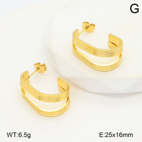 2E2006570aakl-434  Stainless Steel Earrings