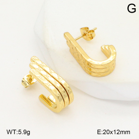 2E2006571aakl-434  Stainless Steel Earrings