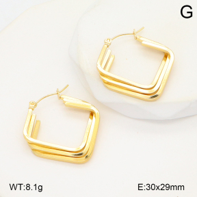 2E2006572aakl-434  Stainless Steel Earrings