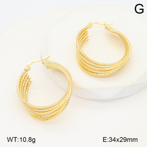 2E2006573ablb-434  Stainless Steel Earrings