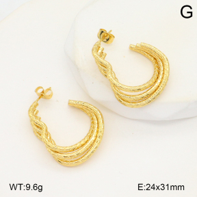 2E2006574aakl-434  Stainless Steel Earrings