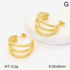 2E2006576aakl-434  Stainless Steel Earrings