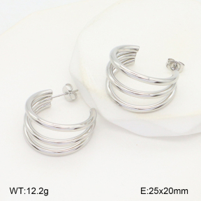 2E2006577baka-434  Stainless Steel Earrings