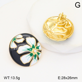 2E3003880vbmb-434  Stainless Steel Earrings