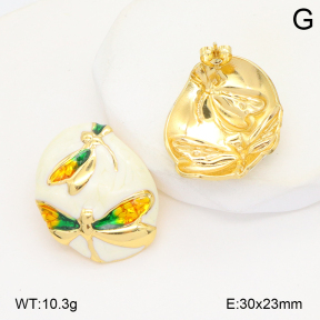 2E3003882vbmb-434  Stainless Steel Earrings