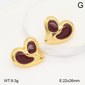 2E3003886baka-434  Stainless Steel Earrings