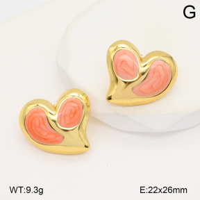 2E3003887baka-434  Stainless Steel Earrings